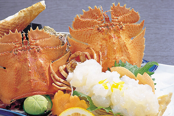 團扇蝦（Uchiwa-ebi）