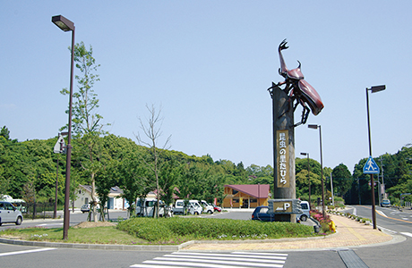 道之站「昆蟲之里田平」